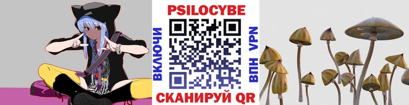 это как зайти Шадринск Псилоцибиновые грибы Psilocybine cubensis