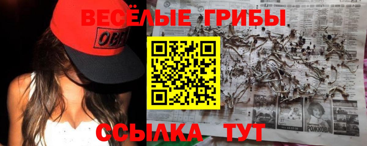 Шадринск  Галлюциногенные грибы мухоморы  Галлюциногенные грибы GOLDEN TEACHER  Вход с VPN 