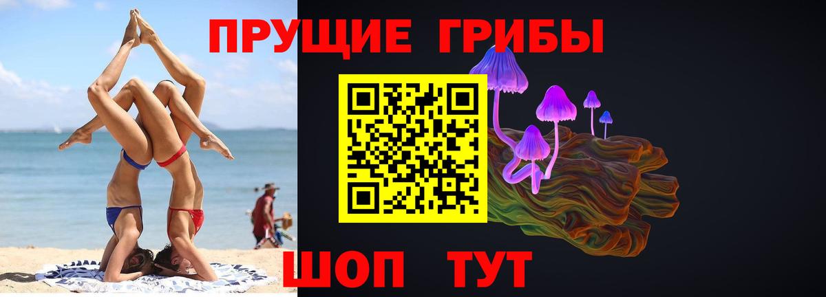 Псилоцибиновые грибы Cubensis Шадринск